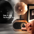 GiftArc Retro Gramophone Bluetooth Speaker – Vintage Design, Rich Sound, 6-Hour Playtime, 1-Year Warranty